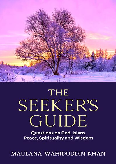 The Seeker's Guide